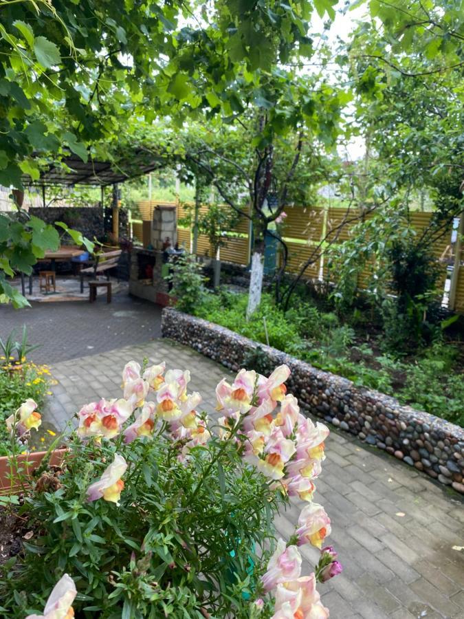 Guest House Mari 乌雷基 外观 照片