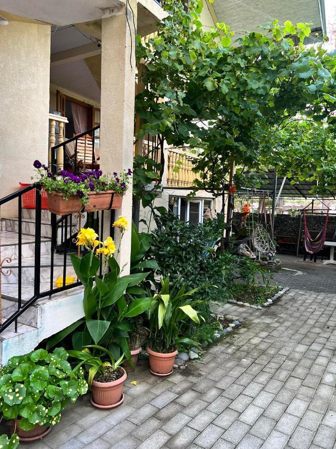 Guest House Mari 乌雷基 外观 照片